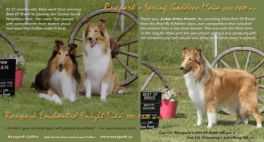 Collies OnLine 2009